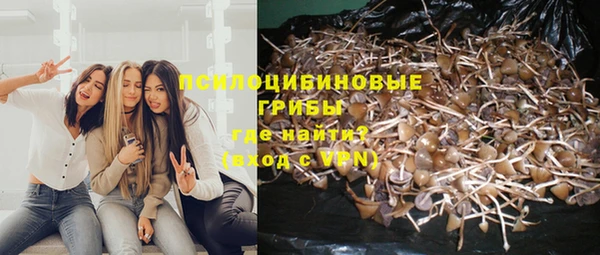 круглые Тында